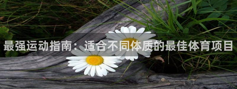 星欧娱乐会员优惠活动
