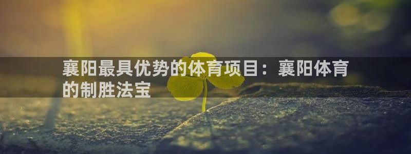 星欧娱乐v8.0.3最新版本更新内容介绍