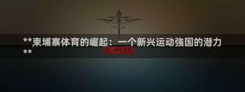 星欧娱乐联游戏评测