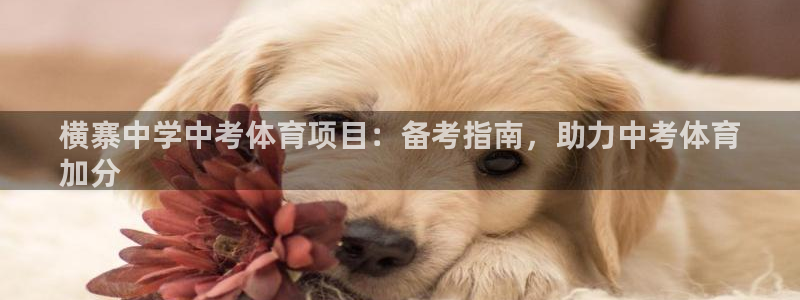 星欧娱乐的创始人背景故事是什么