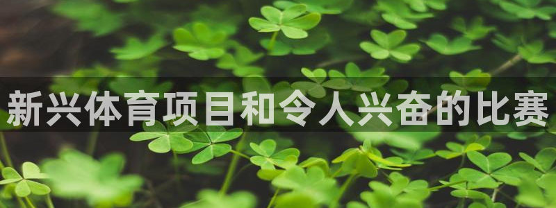 星欧娱乐平台测速线路