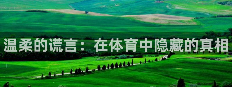 星欧娱乐游戏官网