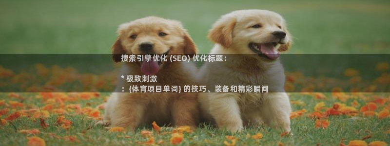 星欧娱乐扣款