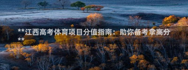 星欧娱乐平台怎么样可靠吗