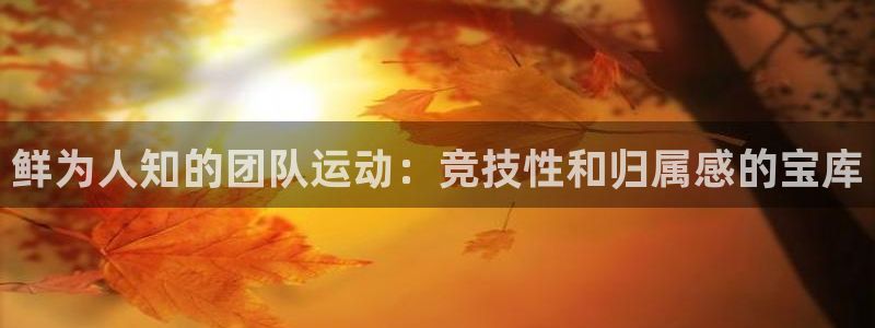 星欧娱乐挂机赚钱软件