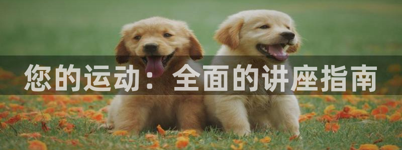 星奥娱乐集团