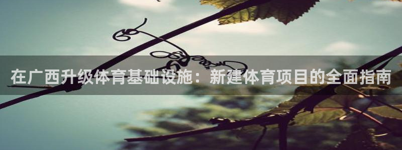 星欧娱乐官网首页