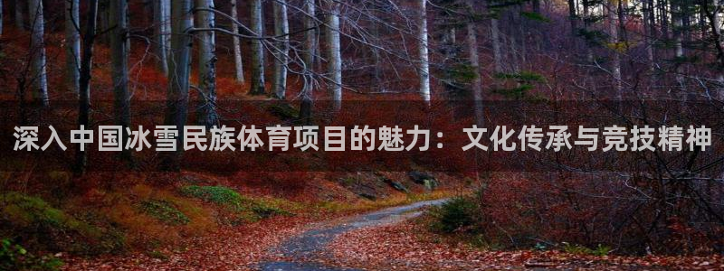 星奥娱乐集团股份有限公司怎么样