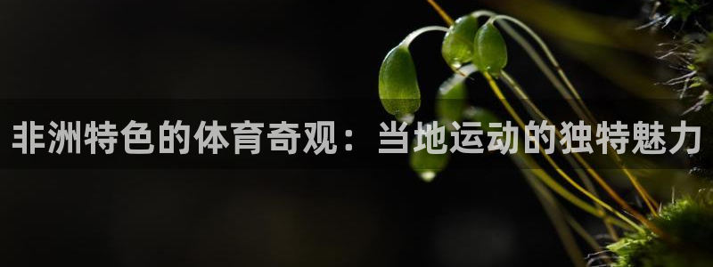 江苏星奥娱乐有限公司出过哪些艺人