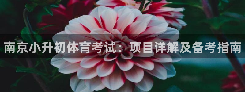 星澳娱乐公司地址