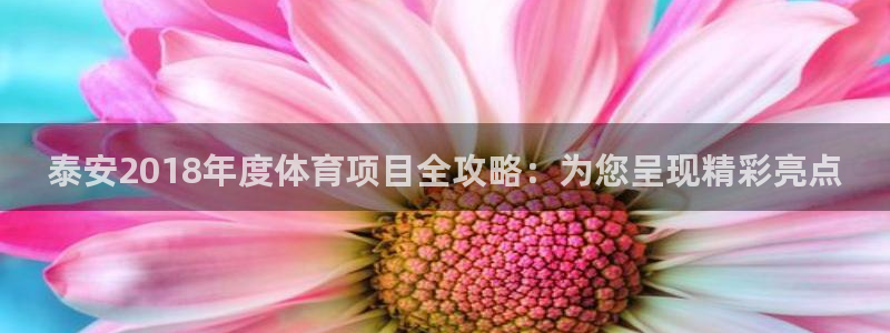 星欧娱乐载711.112使用教程详解