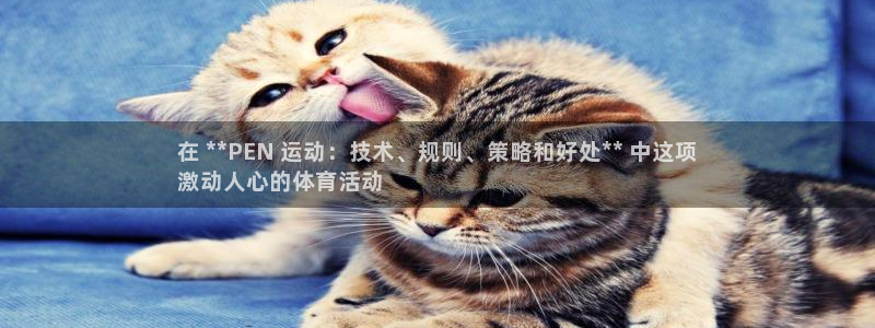 星欧娱乐挂机赚钱是真的吗