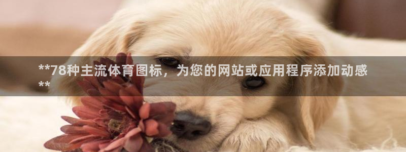 星欧娱乐官网首页