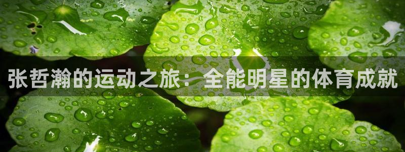 星奥娱乐集团股份有限公司官网
