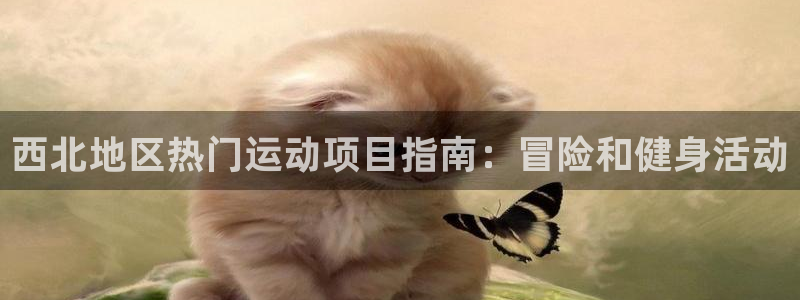 星娱乐online张译