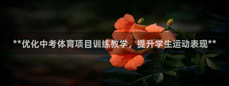 星欧娱乐公司