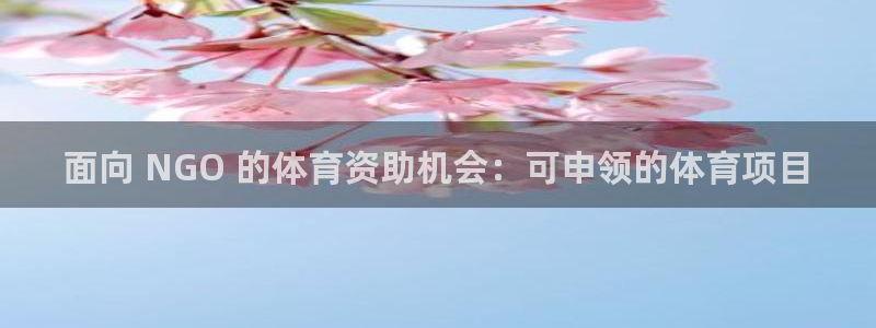 星欧娱乐属于什么档次的软件公司