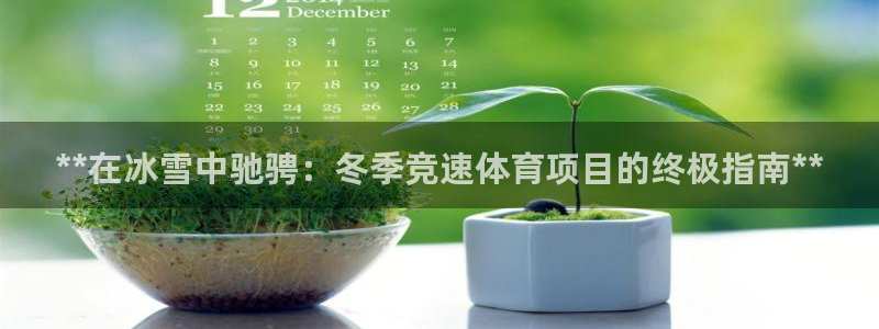 星欧娱乐测速软件下载