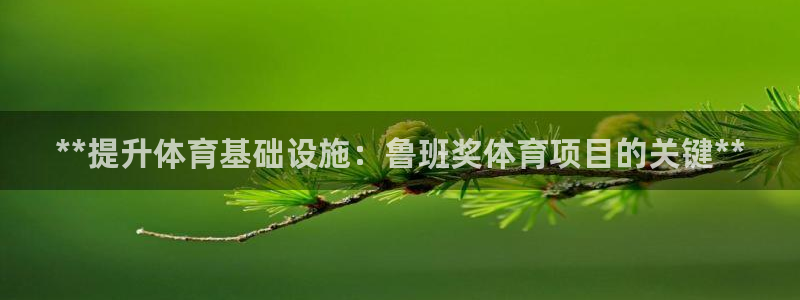 星欧娱乐退款流程详解