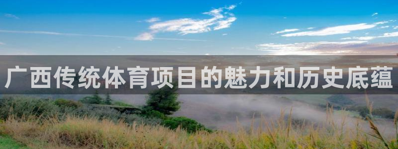 星欧娱乐联4.8.5.6.2.4.3下载