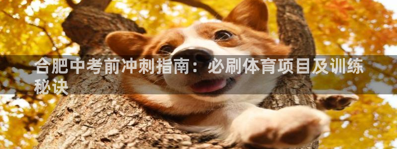 星欧娱乐方7O777