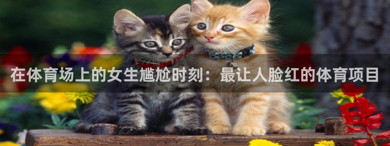星奥娱乐集团股份有限公司官网