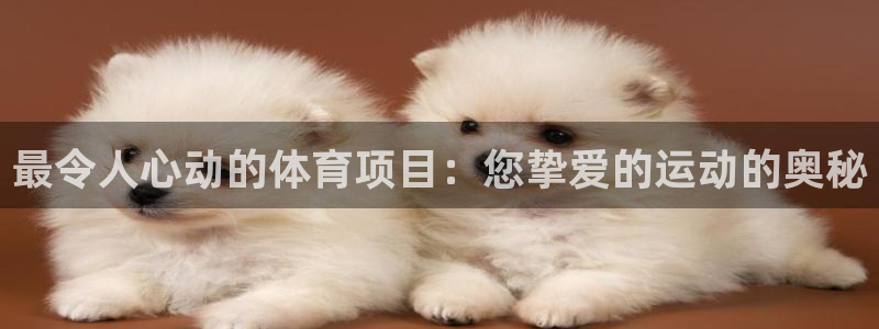 星欧娱乐扣款流程详解