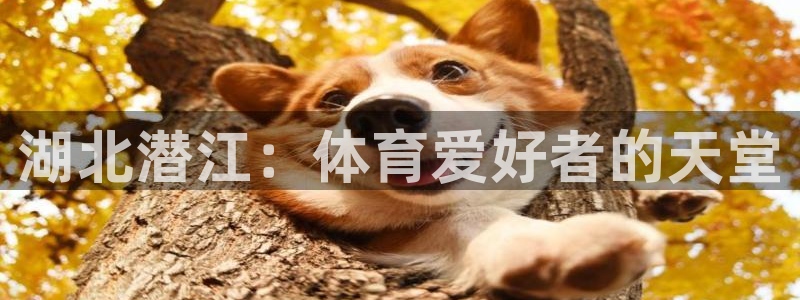 星欧娱乐扣款流程详解