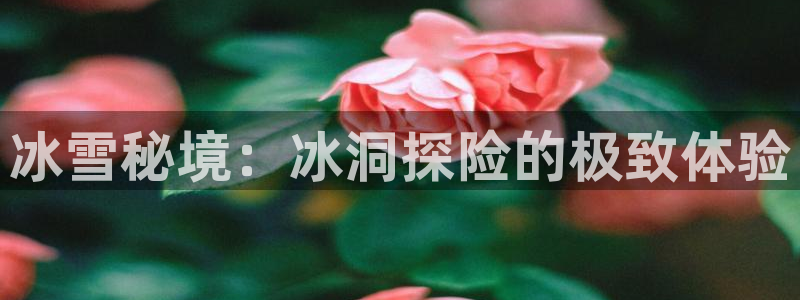 星欧娱乐挂机