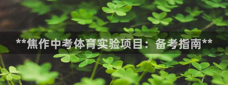星欧娱乐官方客服联系方式查询