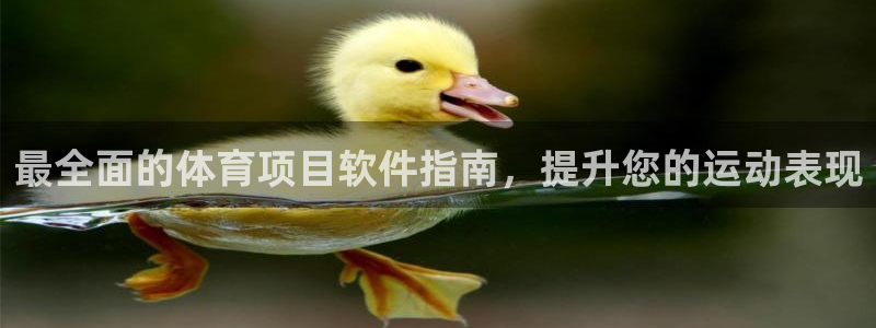 星澳娱乐公司简介