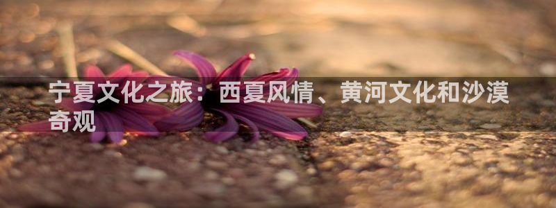 星奥娱乐招聘