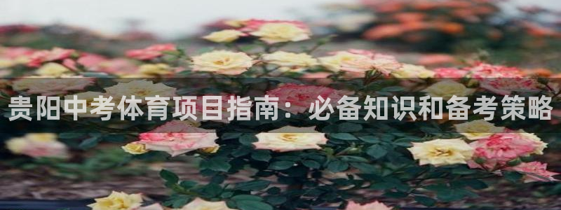 星欧娱乐最建议买的三个游戏是什么