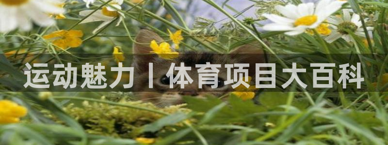 星乐娱乐