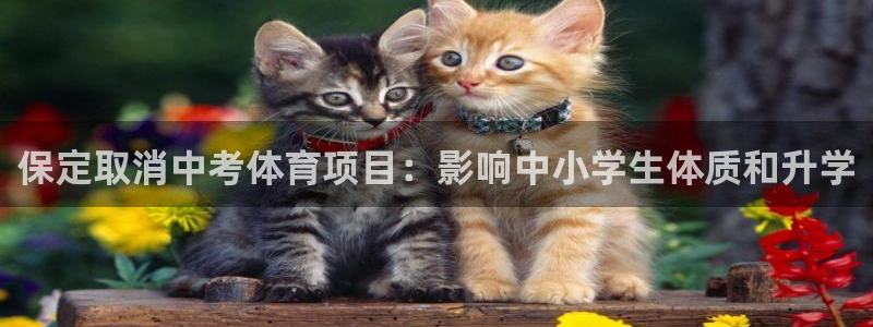 星欧娱乐游戏中心官网登录
