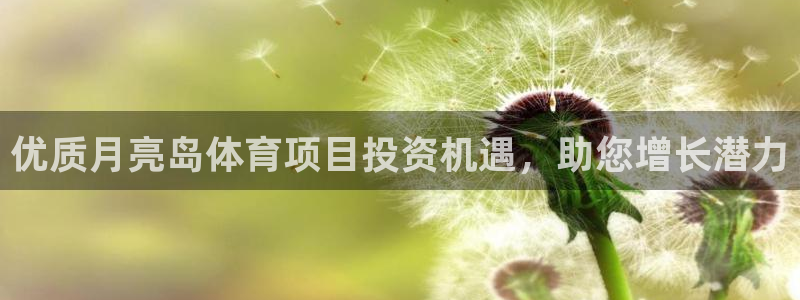 星欧娱乐总代.直开.中国