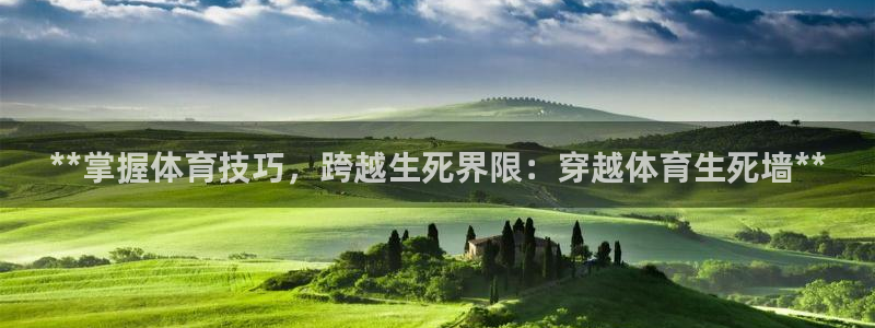 星欧娱乐最建议买的三个游戏账号