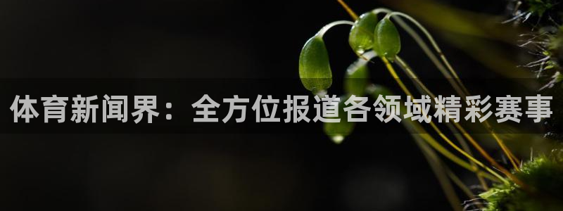 星娱乐online音乐