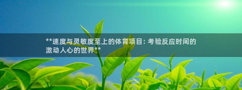 星澳娱乐公司简介
