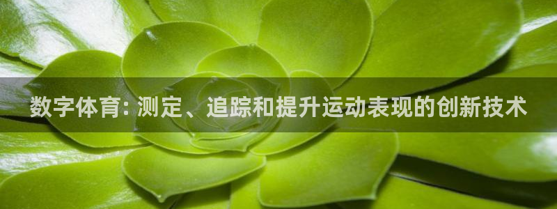 星欧娱乐扣款