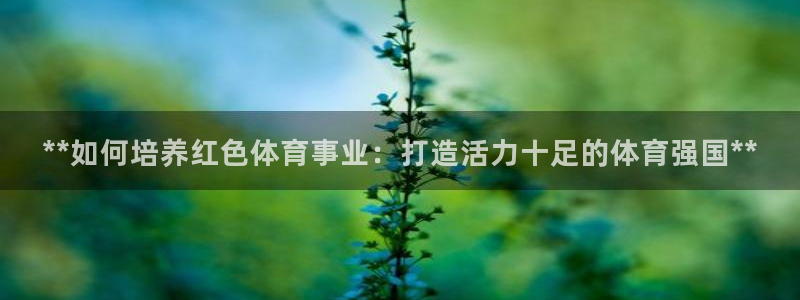 星欧娱乐法711.112不退款后果