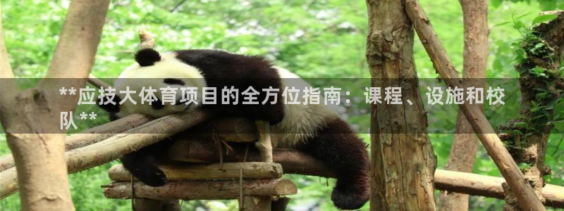 星欧娱乐彩票软件下载安装