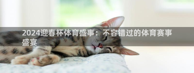 星欧娱乐挂机教程