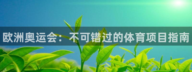星欧娱乐平台怎么样可靠吗安全吗