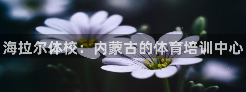 星欧娱乐扣款时间查询方法是什么呢