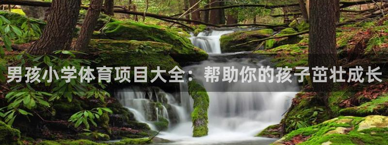 星奥娱乐集团怎么样