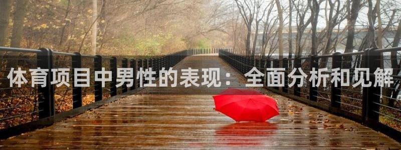 星欧娱乐属于什么档次的公司名称