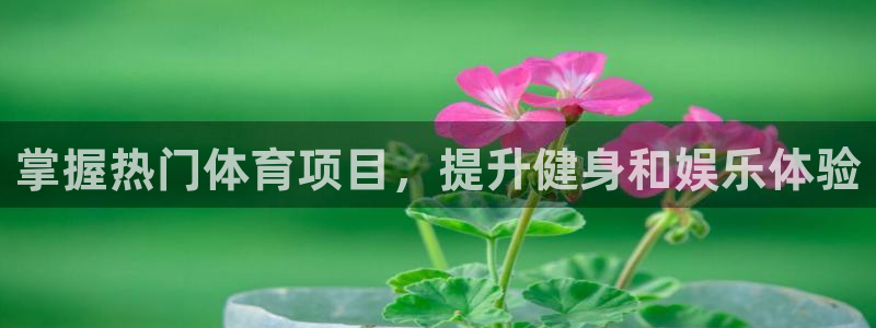星欧娱乐是正规品牌吗