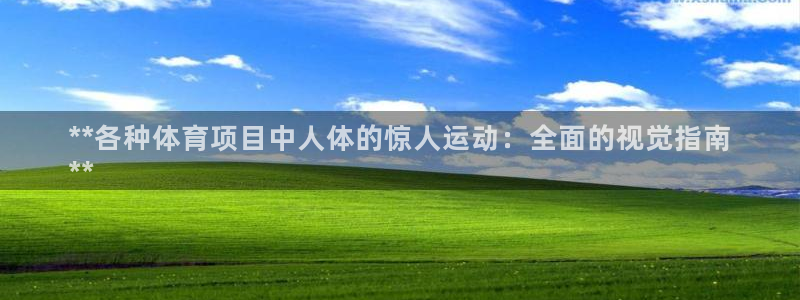 星欧娱乐工711.11是正规的吗