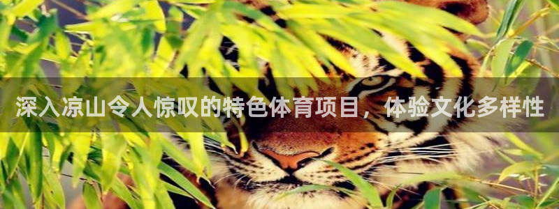 星欧娱乐扣款时间查询方法怎么查